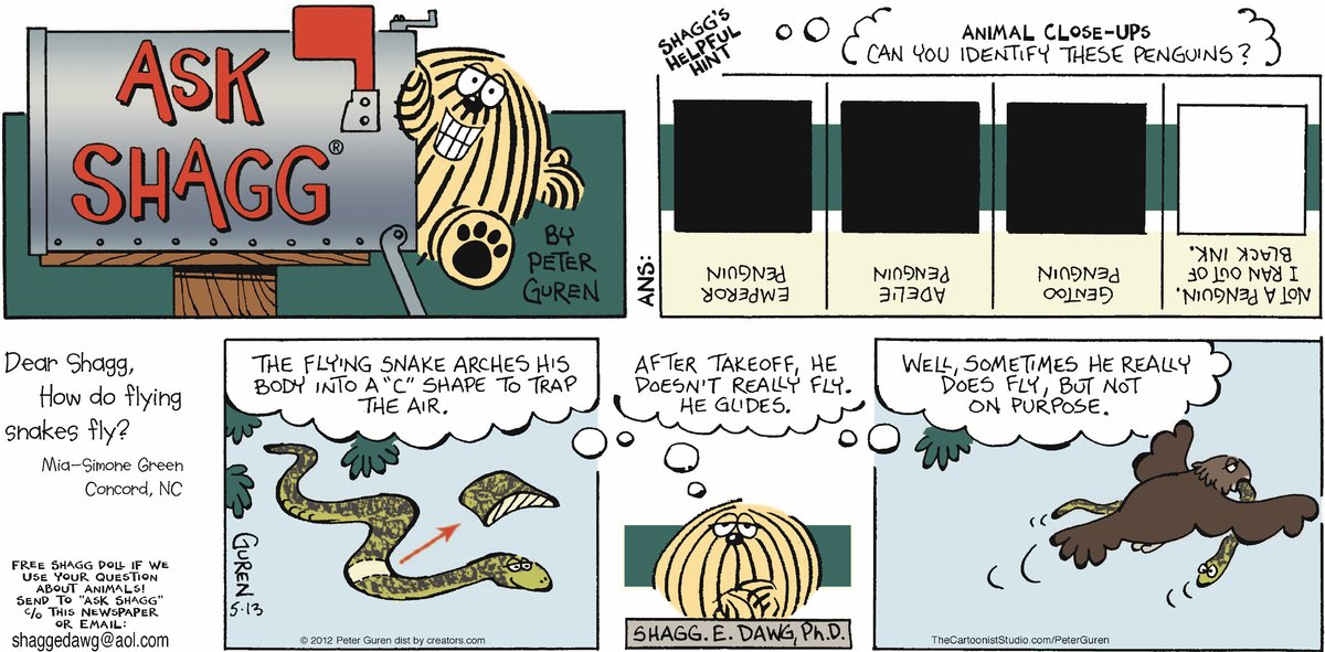 Ask Shagg by Peter Guren