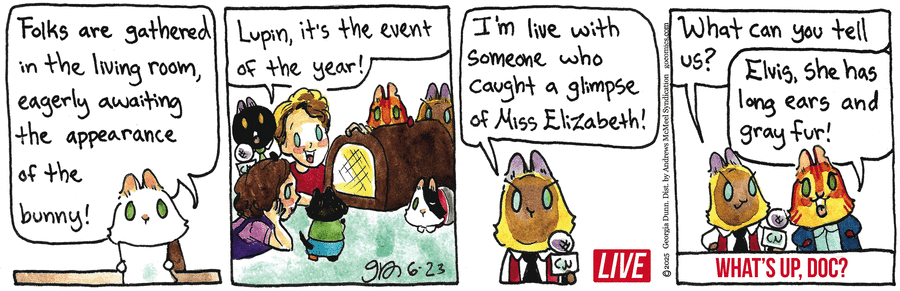 Breaking Cat News by Georgia Dunn on Mon, 23 Jun 2025