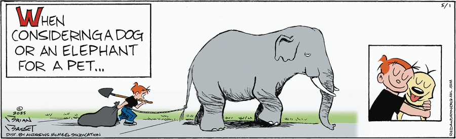 Red and Rover by Brian Basset on Thu, 01 May 2025