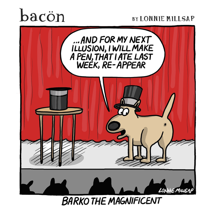 bacon by Lonnie Millsap on Wed, 11 Jun 2025