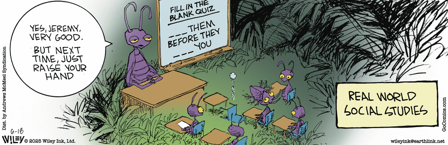 Non Sequitur by Wiley Miller on Wed, 18 Jun 2025