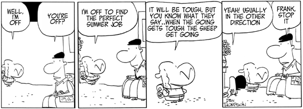 Lost Sheep by Dan Thompson on Mon, 05 May 2025
