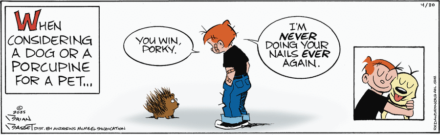 Red and Rover by Brian Basset on Wed, 30 Apr 2025