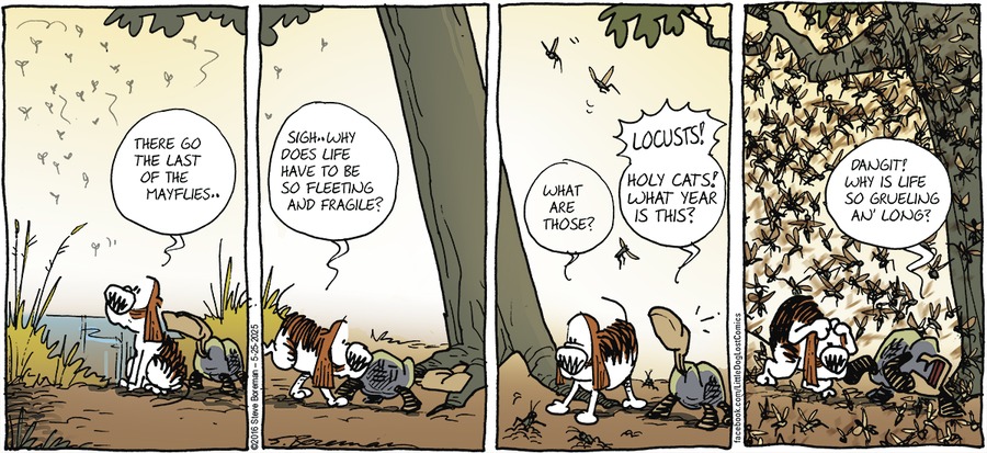 Little Dog Lost by Steve Boreman  on Sun, 25 May 2025