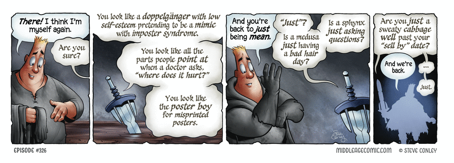 The Middle Age by Steve Conley