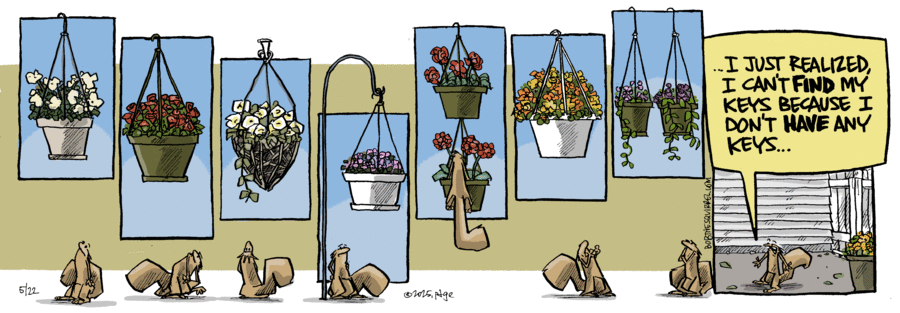 Bob the Squirrel by Frank Page on Thu, 22 May 2025