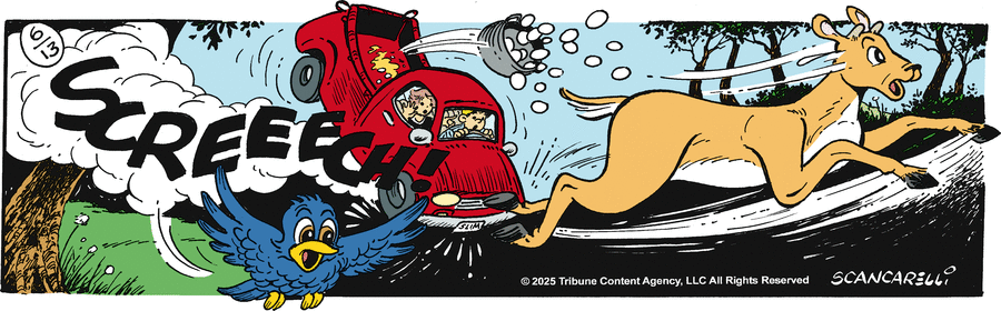 Gasoline Alley by Jim Scancarelli on Fri, 13 Jun 2025