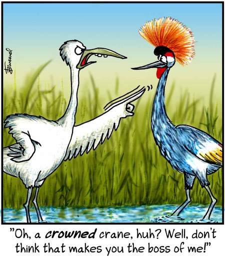 Birdbrains by Thom Bluemel on Tue, 29 Apr 2025