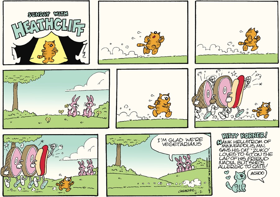 www.gocomics.com