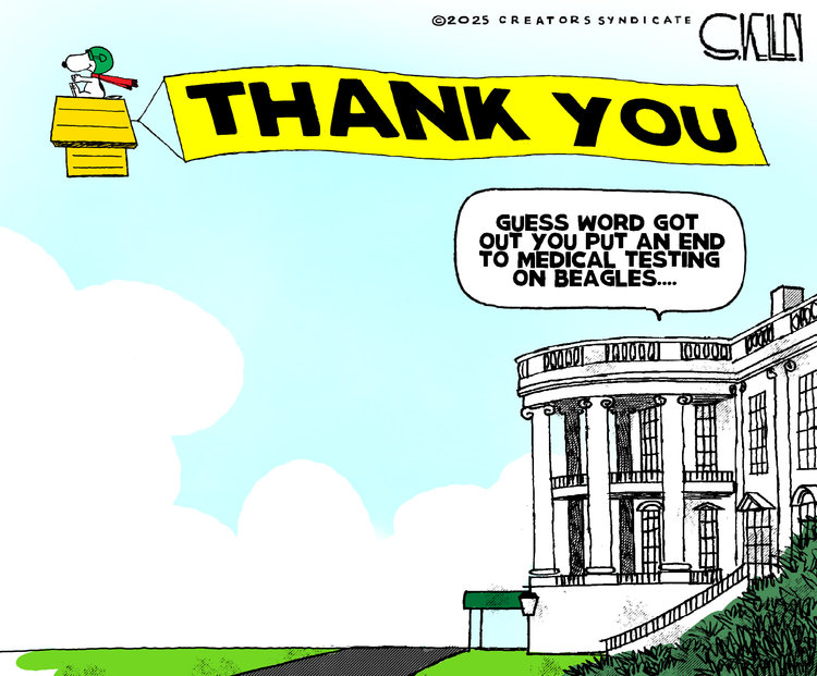 Steve Kelley by Steve Kelley