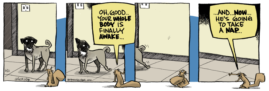 Bob the Squirrel by Frank Page on Sat, 21 Jun 2025