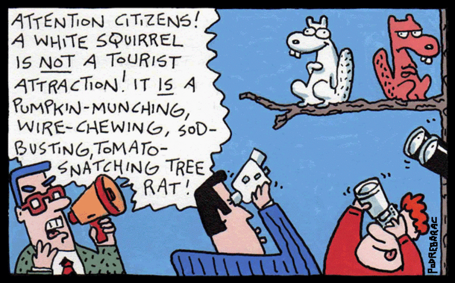 CowTown by Charlie Podrebarac on Tue, 29 Apr 2025