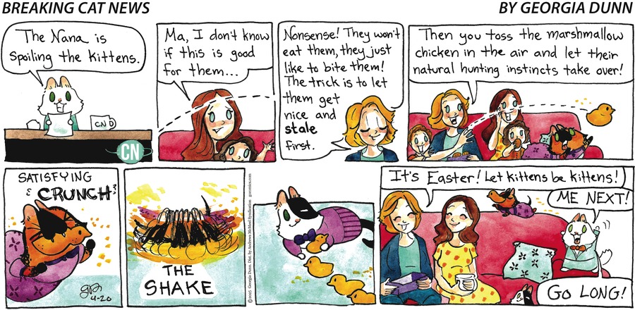Breaking Cat News by Georgia Dunn on Sun, 20 Apr 2025