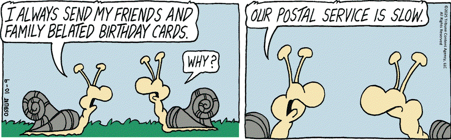 362e99b07f7f013eb57d005056a9545d