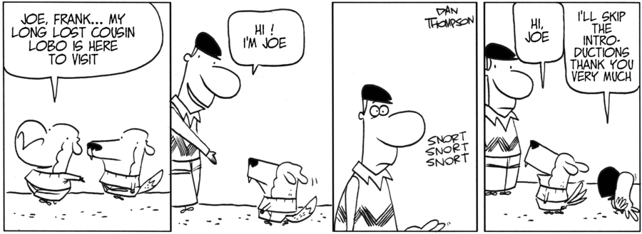 Lost Sheep by Dan Thompson on Tue, 10 Jun 2025