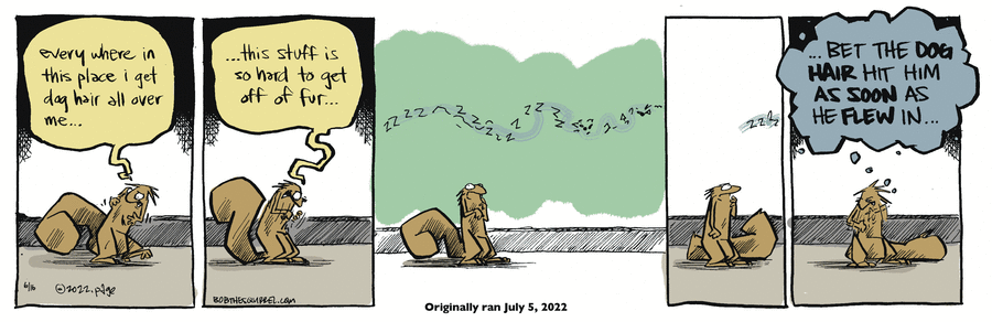 Bob the Squirrel by Frank Page on Mon, 16 Jun 2025