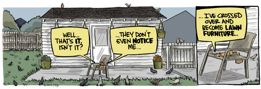 Bob the Squirrel by Frank Page on Mon, 02 Jun 2025