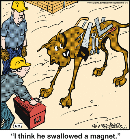 Marmaduke by Brad Anderson on Mon, 16 Jun 2025