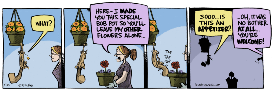 Bob the Squirrel by Frank Page on Fri, 23 May 2025