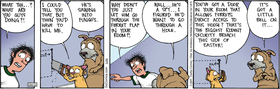 Get Fuzzy by Darby Conley on Thu, 29 May 2025