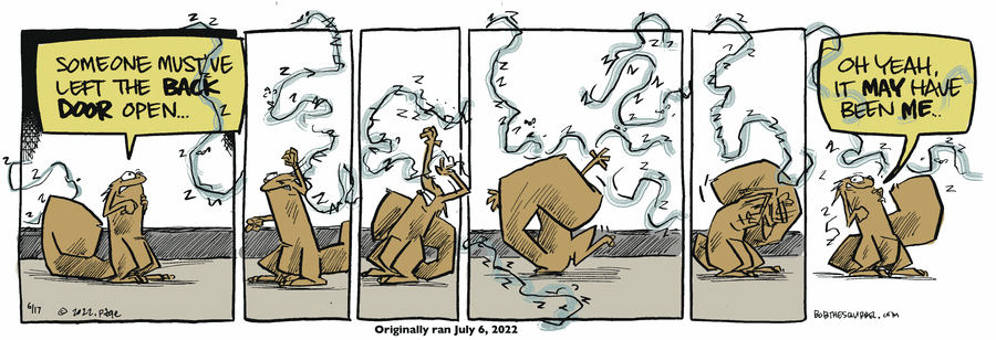 Bob the Squirrel by Frank Page on Tue, 17 Jun 2025