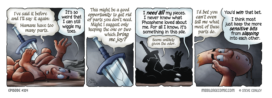 The Middle Age by Steve Conley