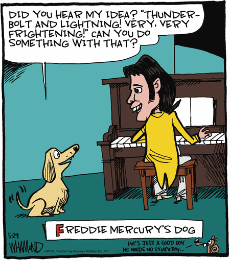 Reality Check by Dave Whamond  on Thu, 29 May 2025