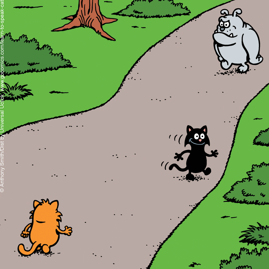 Learn to Speak Cat by Anthony Smith on Tue, 29 Apr 2025