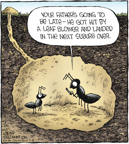 Speed Bump by Dave Coverly on Tue, 08 Apr 2025