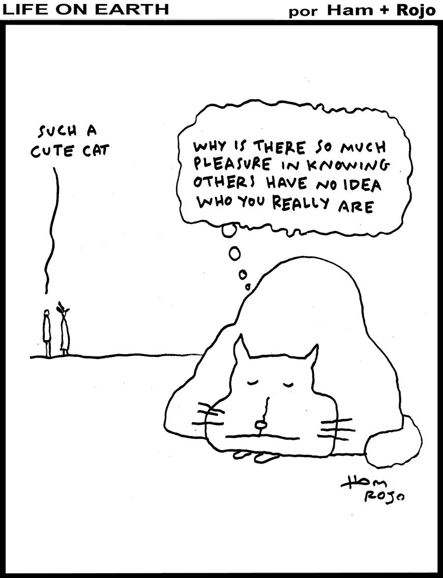 Life on Earth by Ham on Wed, 04 Jun 2025