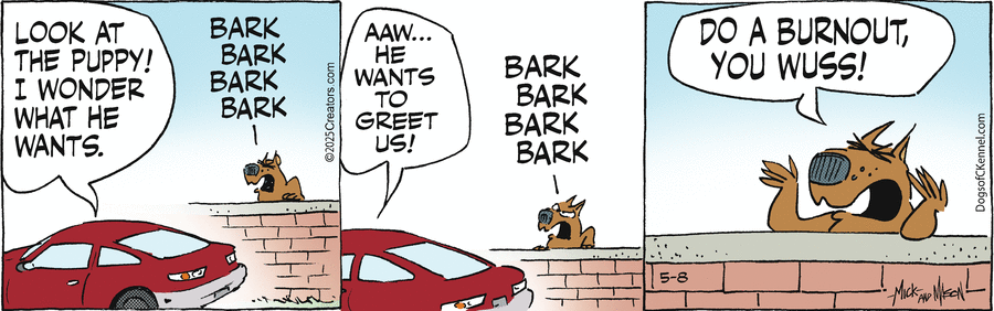 Dogs of C-Kennel by Mick & Mason Mastroianni