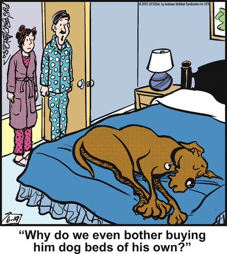 Marmaduke by Brad Anderson