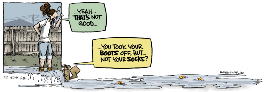 Bob the Squirrel by Frank Page on Wed, 07 May 2025