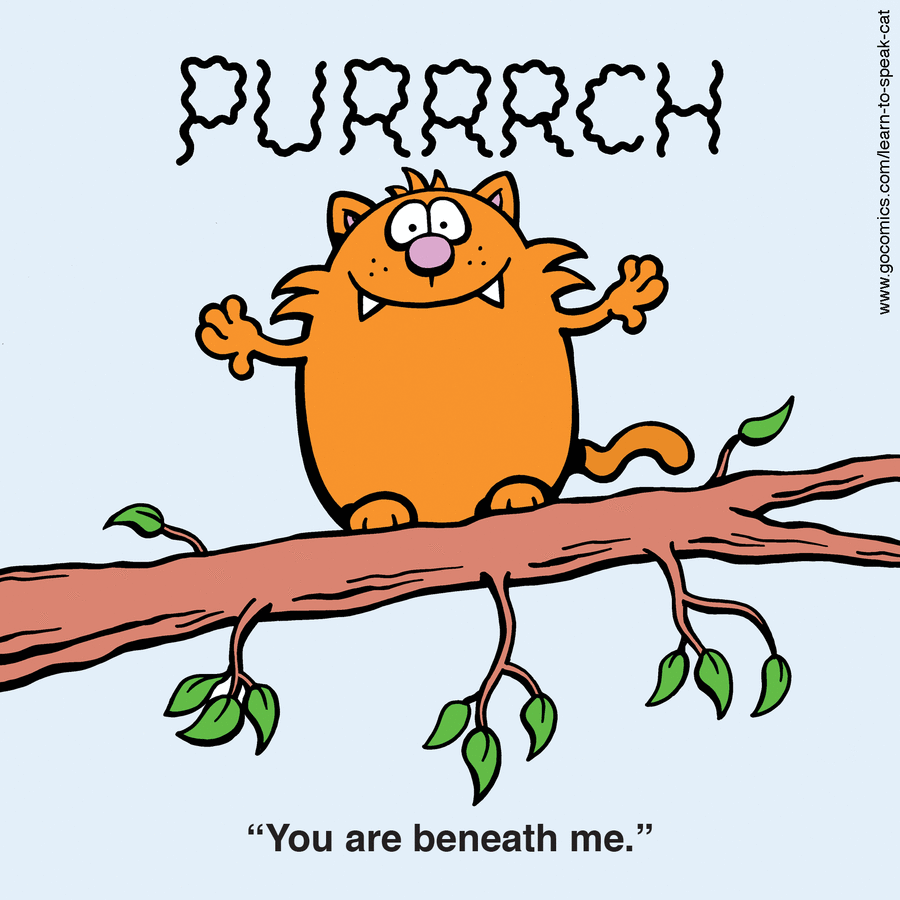 Learn to Speak Cat by Anthony Smith on Wed, 30 Apr 2025