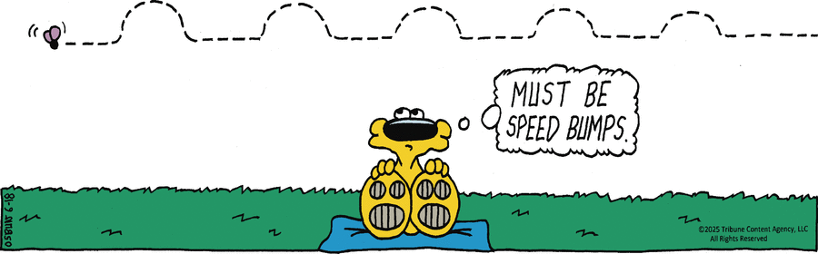 Animal Crackers by Mike Osbun on Wed, 18 Jun 2025