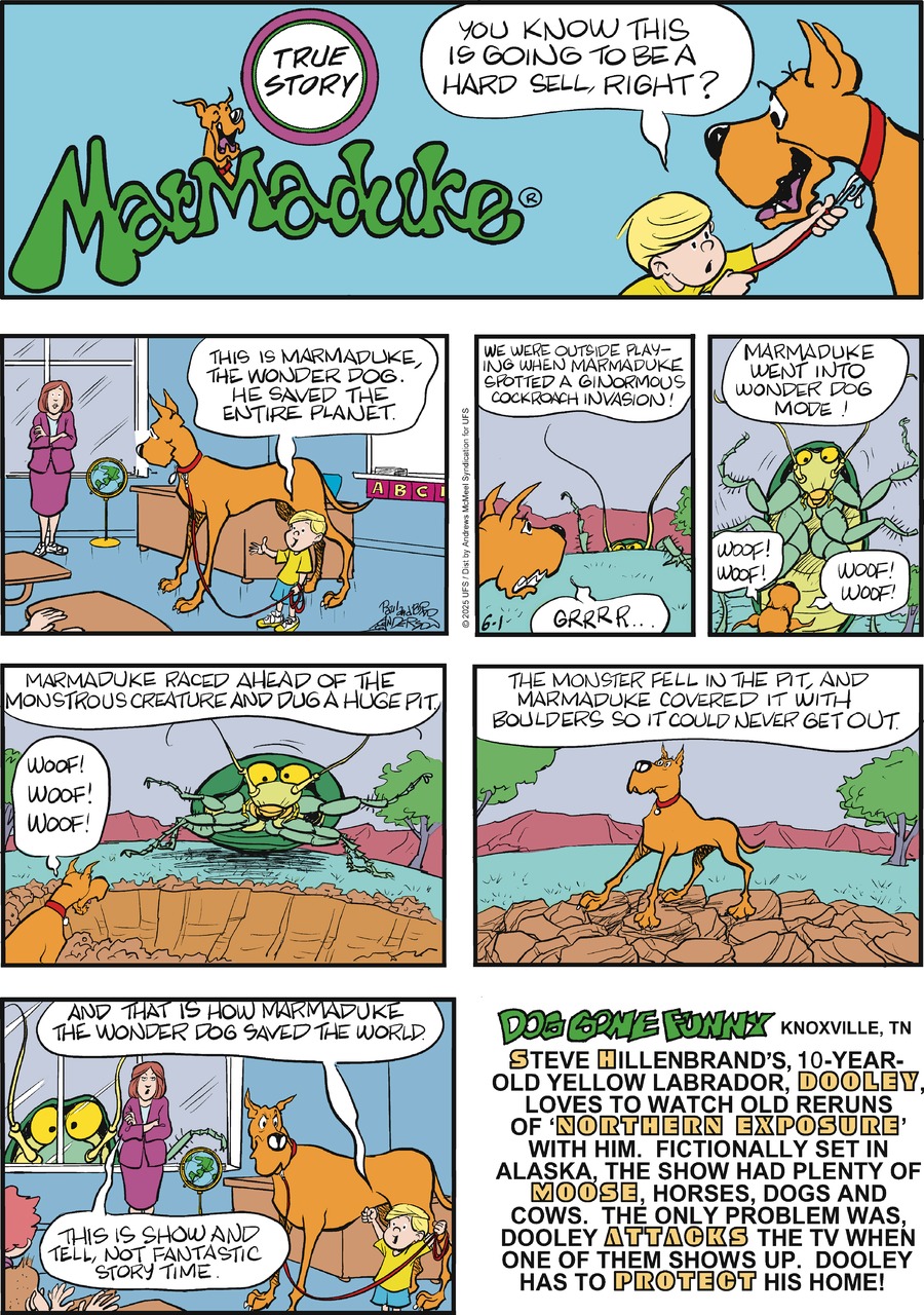 Marmaduke by Brad Anderson on Sun, 01 Jun 2025