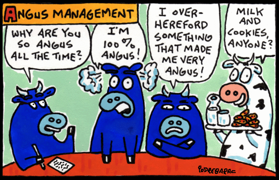 CowTown by Charlie Podrebarac on Fri, 20 Jun 2025
