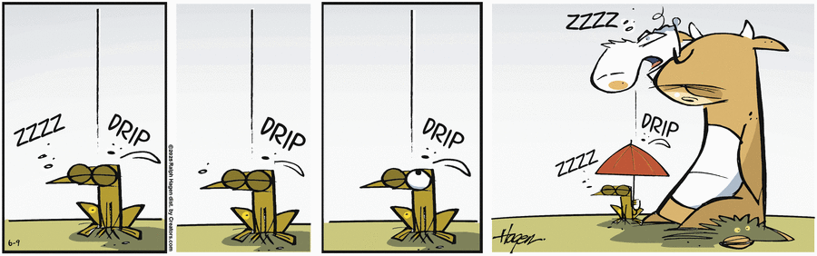 The Barn by Ralph Hagen on Mon, 09 Jun 2025