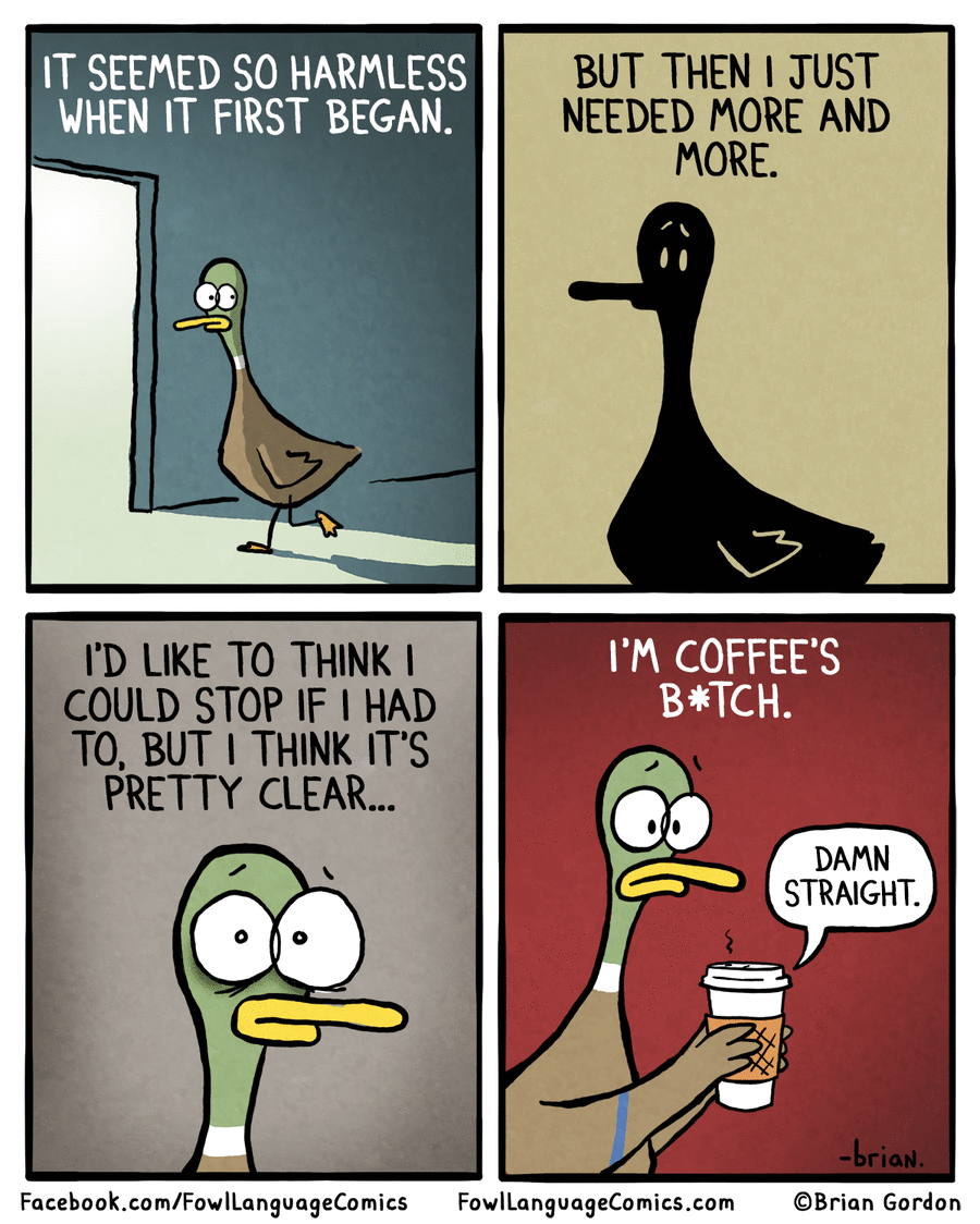 Fowl Language by Brian Gordon on Thu, 15 May 2025