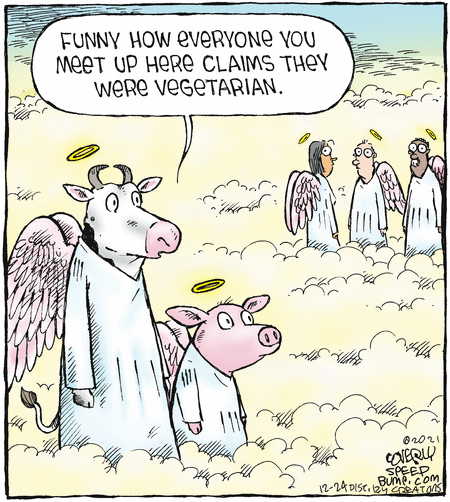 www.gocomics.com