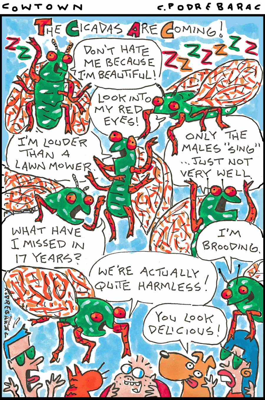 CowTown by Charlie Podrebarac on Fri, 30 May 2025