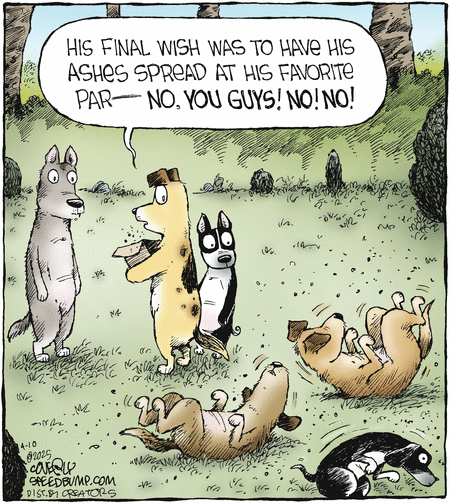 Speed Bump by Dave Coverly on Thu, 10 Apr 2025