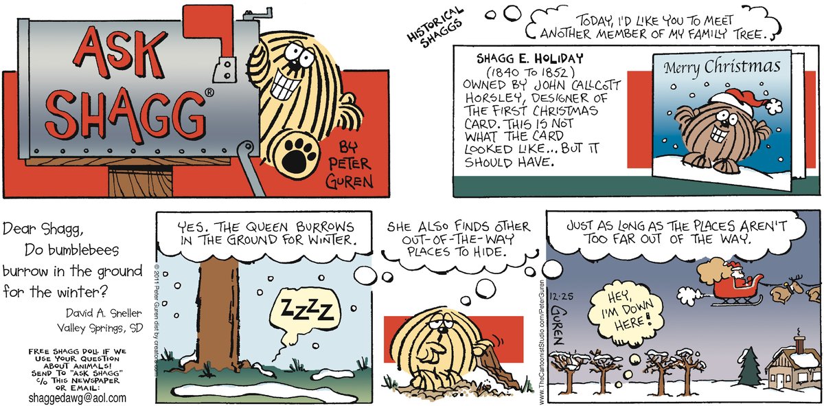Ask Shagg by Peter Guren on Mon, 07 Apr 2025