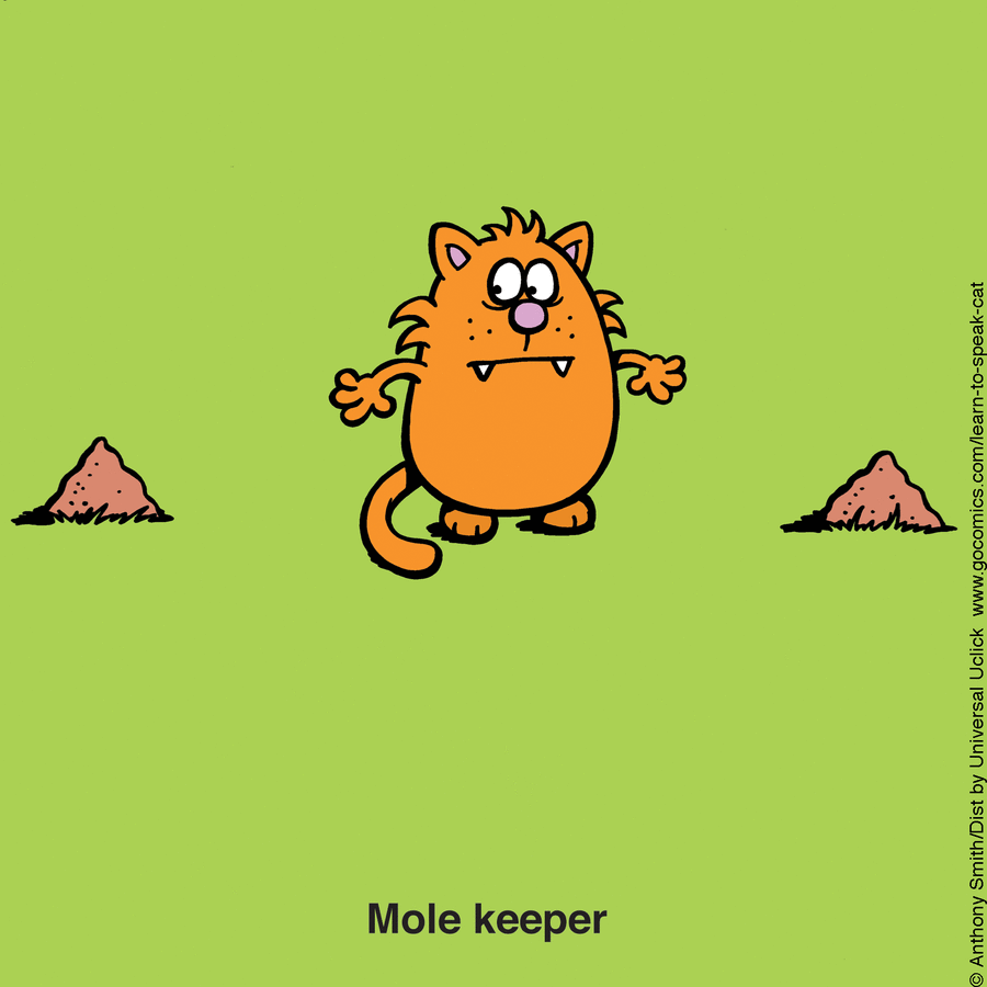 Learn to Speak Cat by Anthony Smith on Mon, 05 May 2025