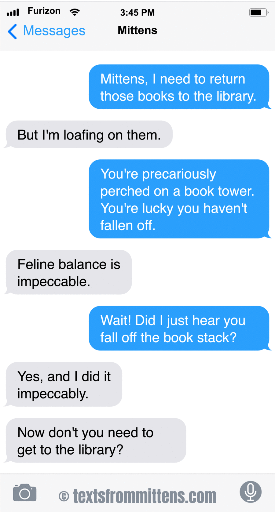 Texts From Mittens by Angie Bailey on Thu, 12 Jun 2025