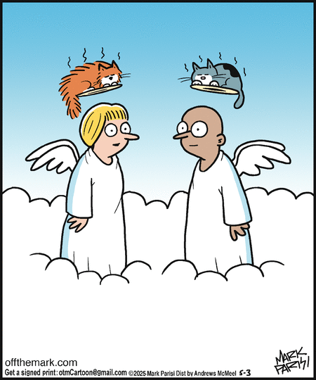 Off the Mark by Mark Parisi on Sat, 03 May 2025