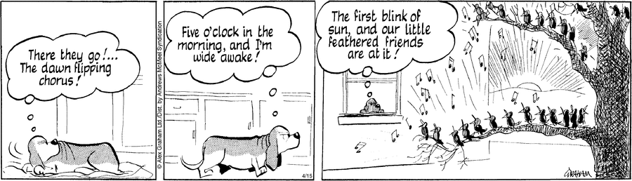 Fred Basset by Alex Graham on Tue, 15 Apr 2025