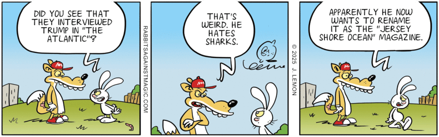 Rabbits Against Magic by Jonathan Lemon on Sat, 24 May 2025