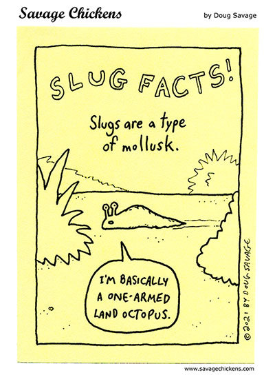 Savage Chickens by Doug Savage on Thu, 12 Jun 2025