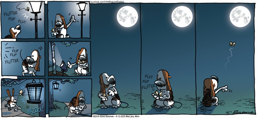 Little Dog Lost by Steve Boreman  on Sun, 13 Apr 2025